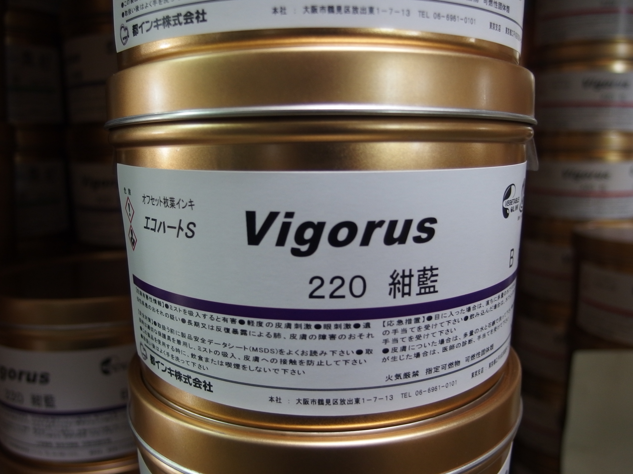 エコハートS Vigorus